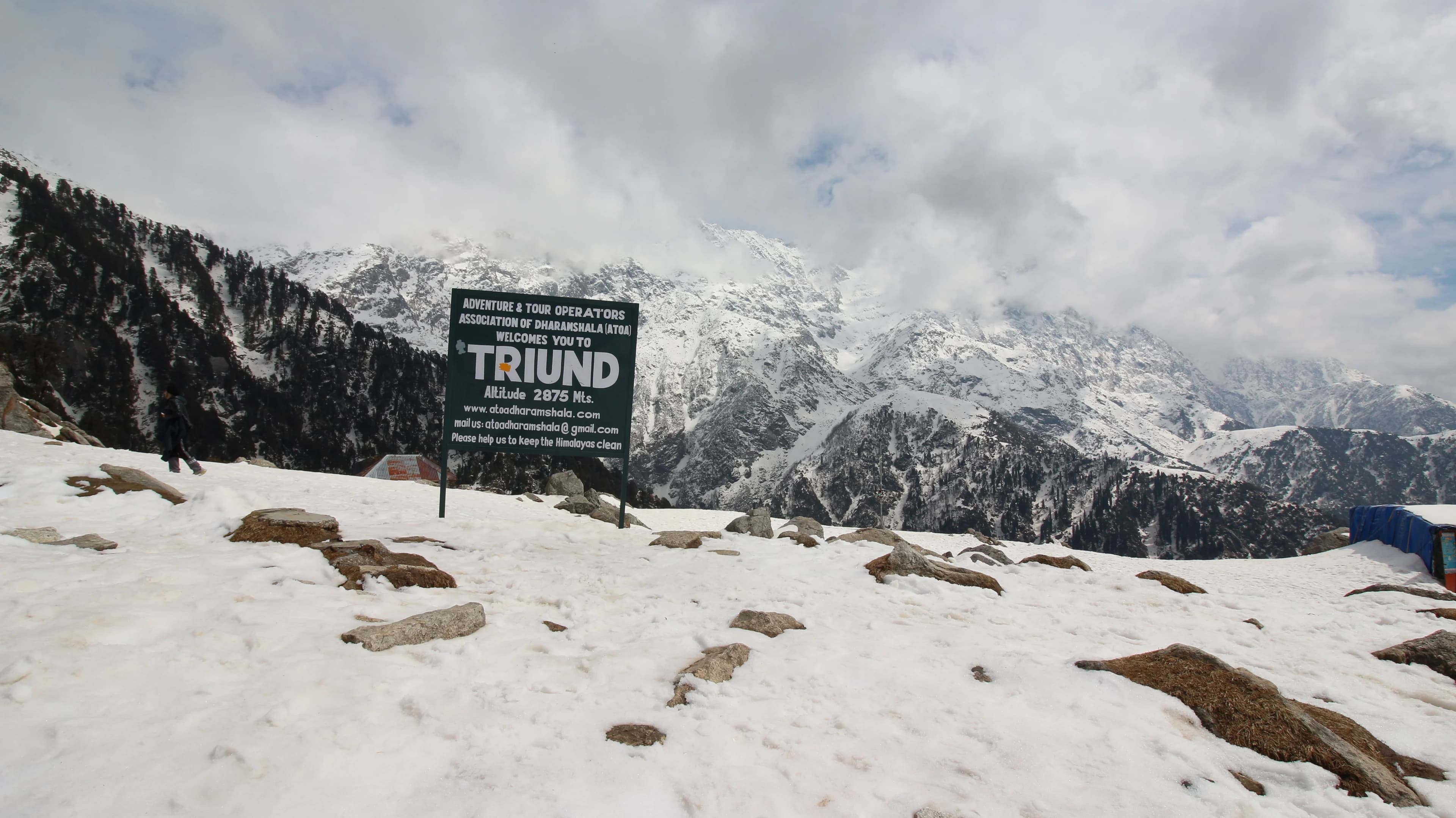 Triund Trek